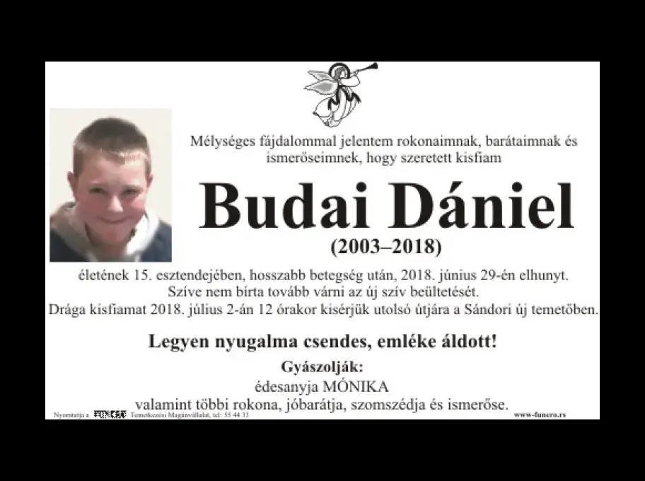 Budai Dániel