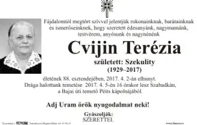 Terezija Cvijin
