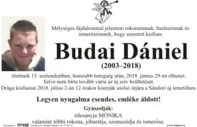Budai Dániel