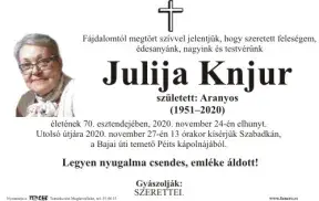 Knjur Julija