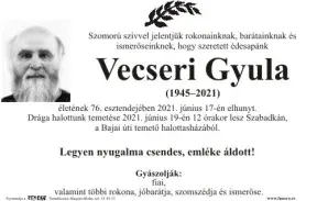 Vecseri Gyula