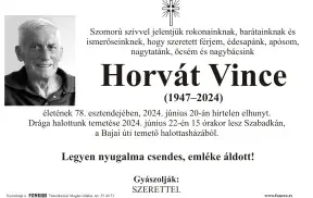 Horvát Vince